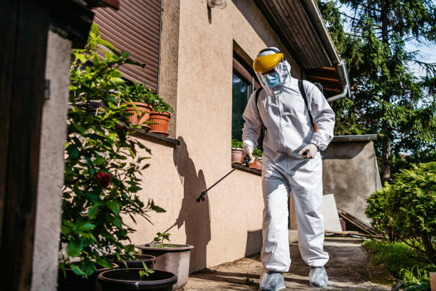 Professional Pest Control in Charlack, MO