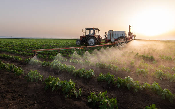 Best Commercial Pest Control Services  in Charlack, MO