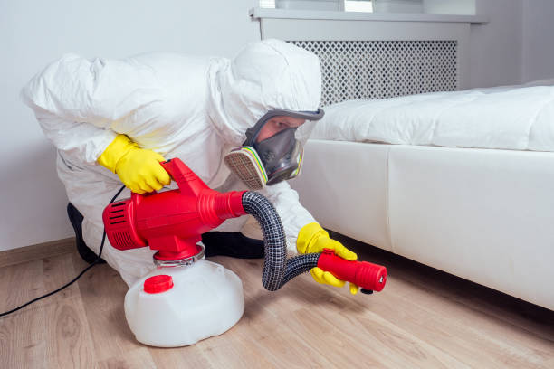 Best Affordable Pest Control Services  in Charlack, MO